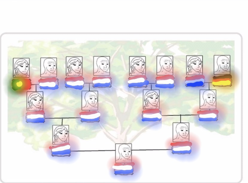 3399106 E081056E 15DC 4613 AE98 8E05C2226D24