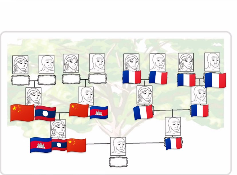 3399106 E081056E 15DC 4613 AE98 8E05C2226D242