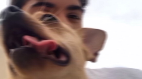 01A5F03A 7814 427C 84D0 6B8A0278ABBB