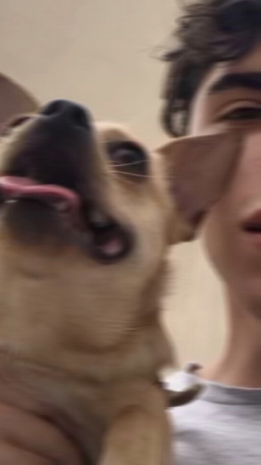 9BE16719 1AE8 4361 B3E8 C390CFA115C4