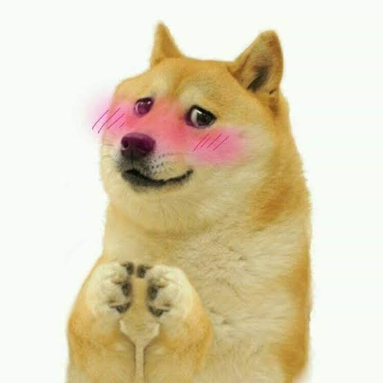 1683704354001