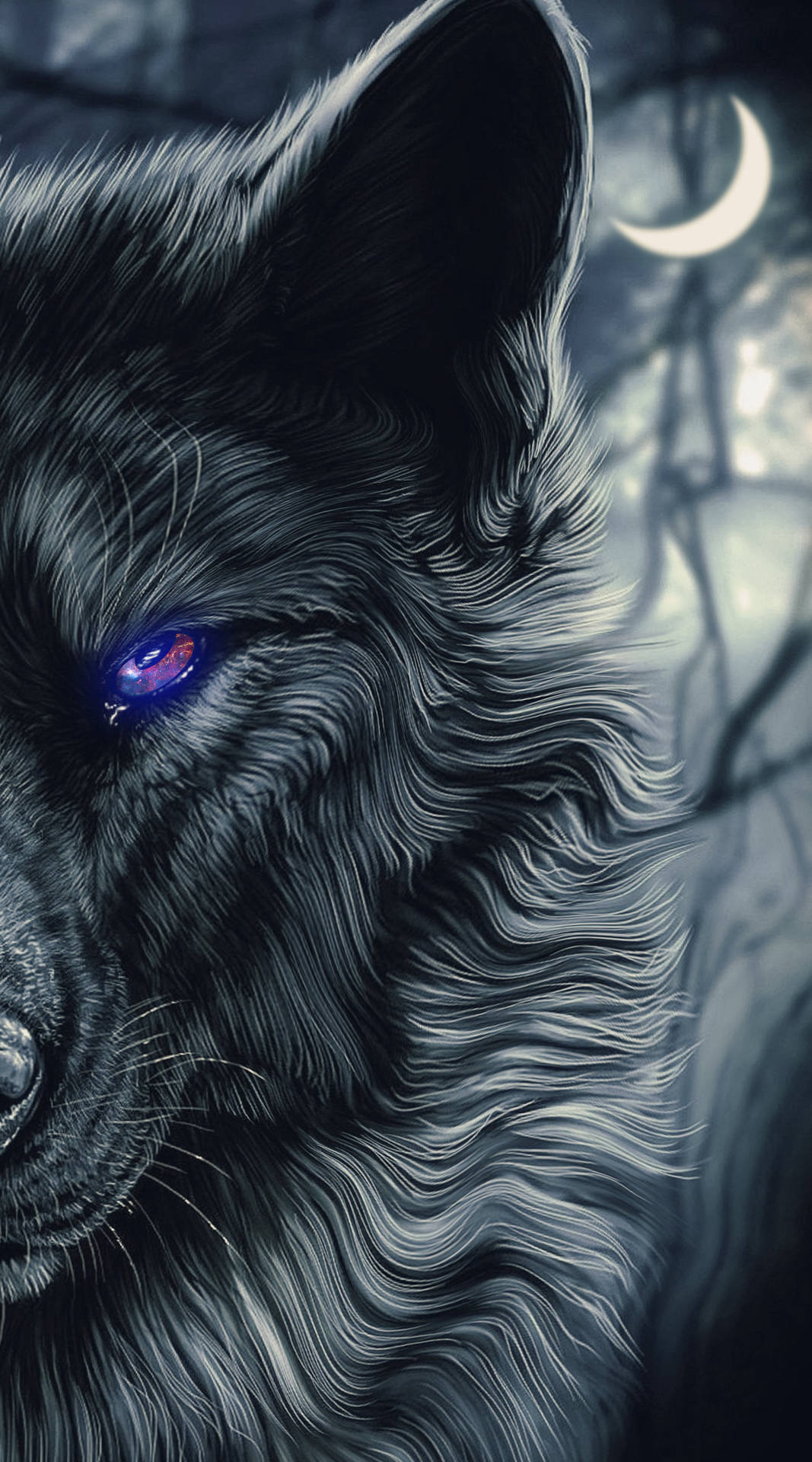 Half face black wolf ihavmu0621566wn9