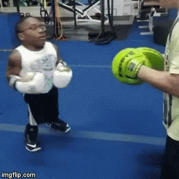 3014733 boxing short