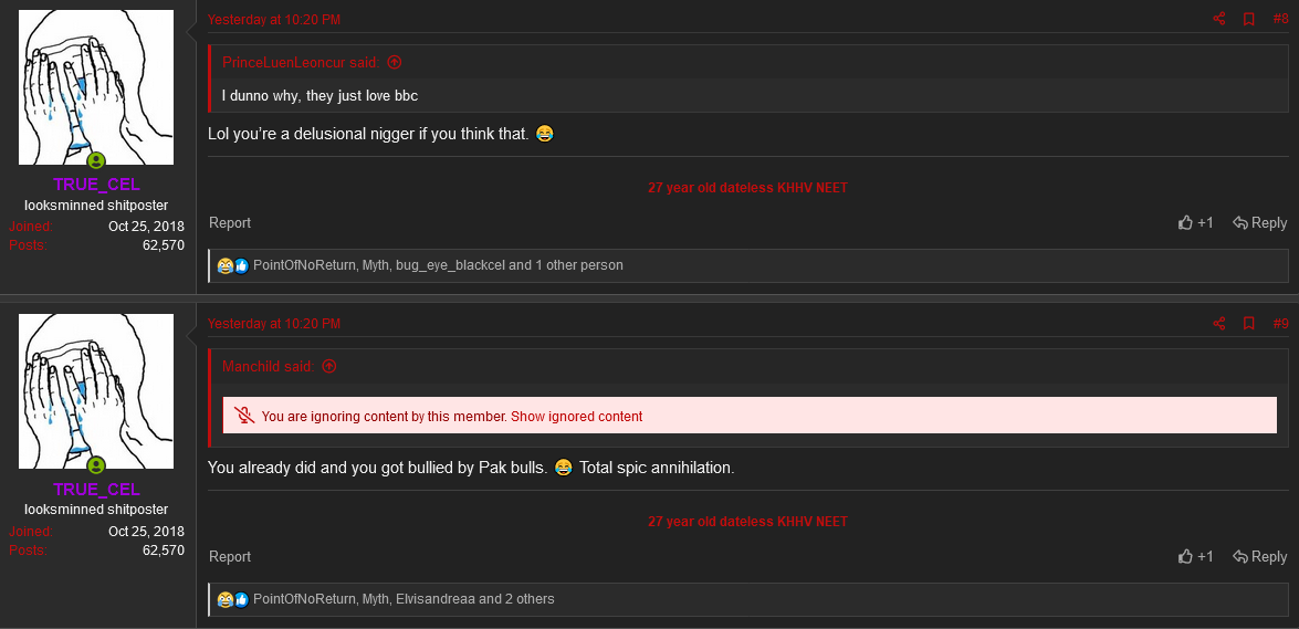 Screenshot 2023 05 11 at 04 28 33 Why do paki girls love bbc so much