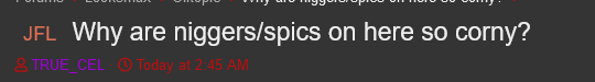 Screenshot 2023 05 11 at 04 35 05 Why are niggers spics on here so corny