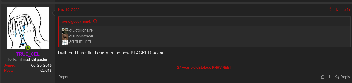 Screenshot 2023 05 11 at 05 16 35 you fuckng subhumans who watch balcked and other interracial