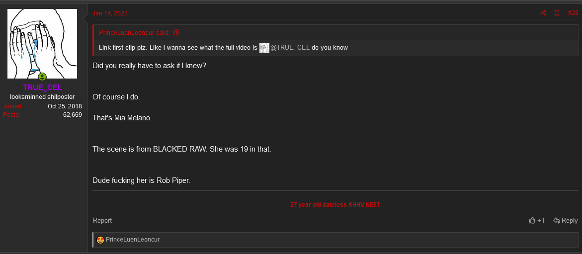 Screenshot 2023 05 11 at 06 01 58 i want a beautiful blonde aryan girlfriend obsessed with bbc