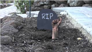 Screenshot 2023 05 11 at 21 54 53 back from the grave zombie   Ricerca Google