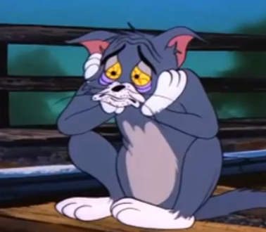 0343E7FA 9451 4EFE A859 C3C7AAAF9DAD