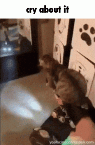 Cry about it cat