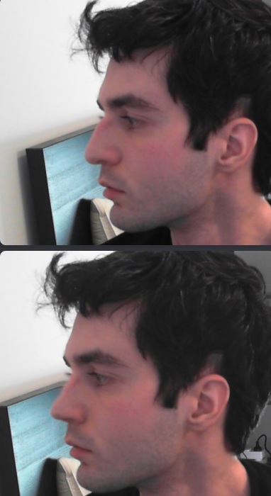 Inbred jew