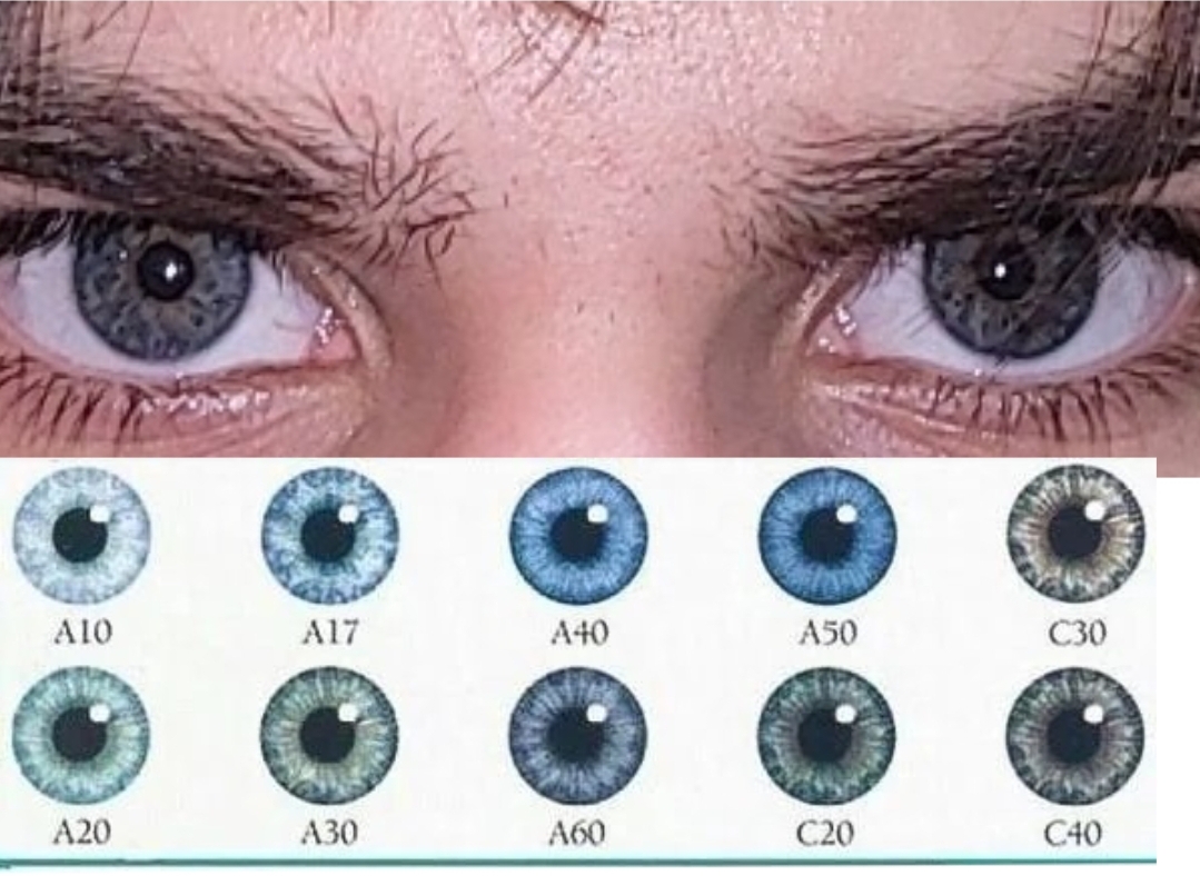 Screenshot 20230513 205551 PicCollage