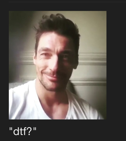 E424E7F4 0B5F 4DE1 BBDD D8E9A368C793