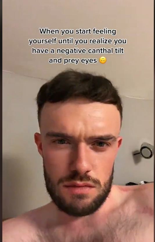 Screenshot 2023 05 16 at 07 31 01 James Sapphire   Blackpill Curse TikTok