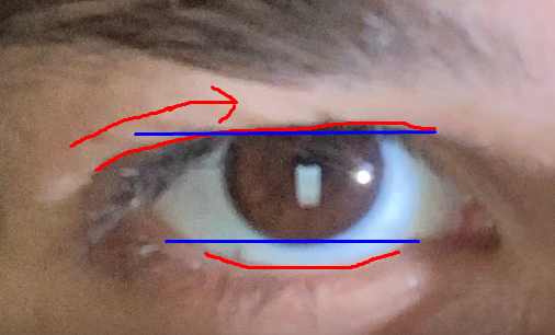 1684267437364