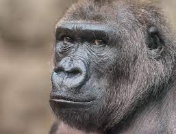 1EE9EF44 EAFD 4D57 AAE5 77DAA4B6E700