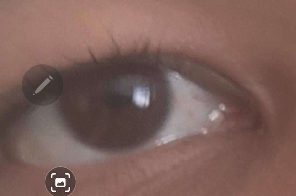 Screenshot 20230329 124402 Gallery