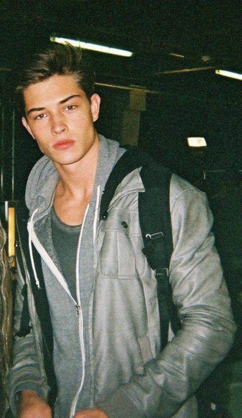 3416467 lachowski