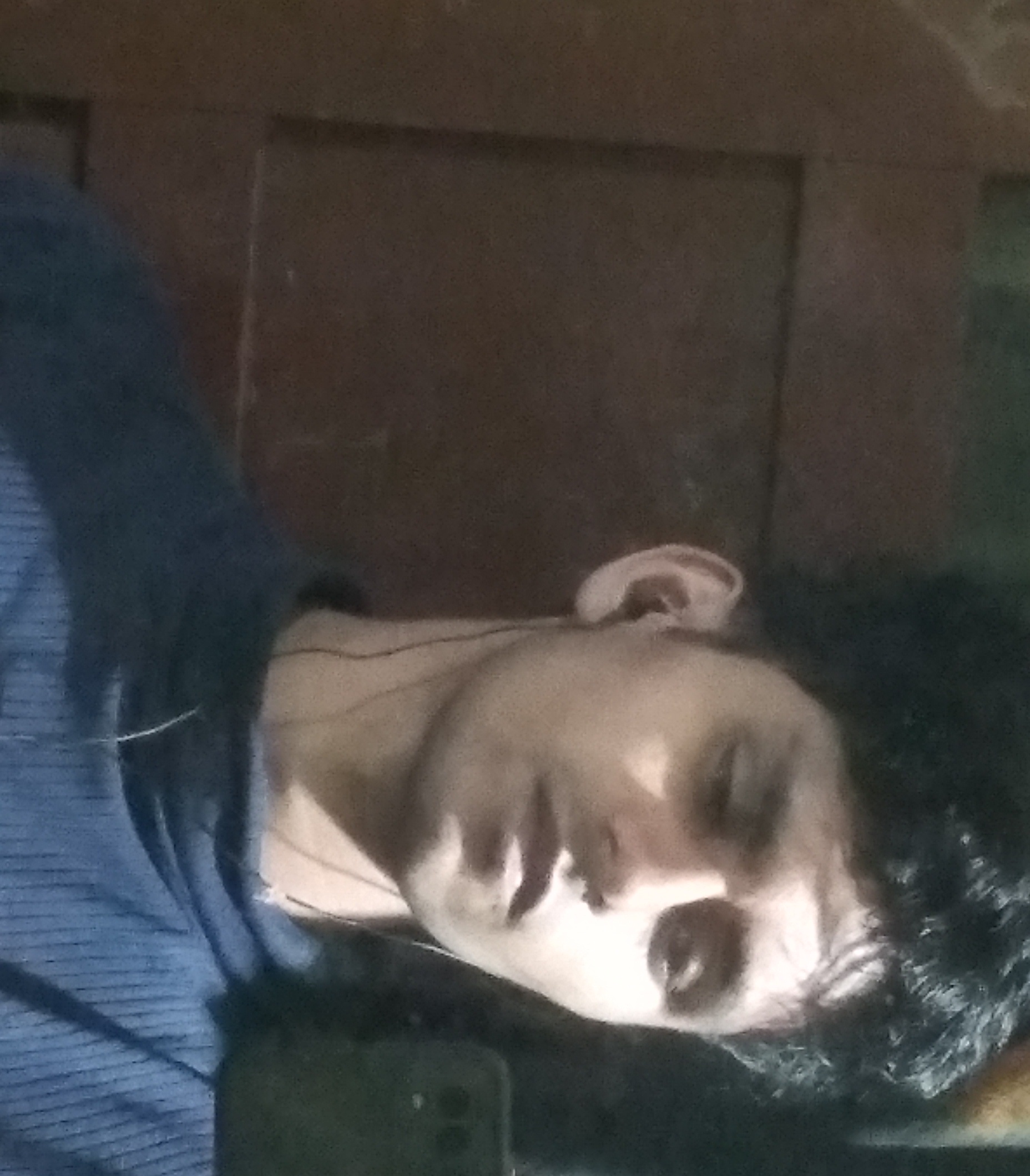 20220905 203248