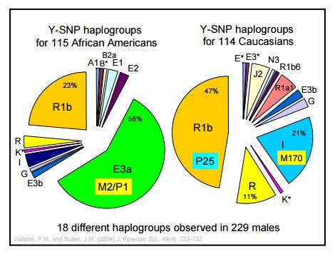 Main qimg 504068cc8d41385caa2337c1b6b90fea pjlq