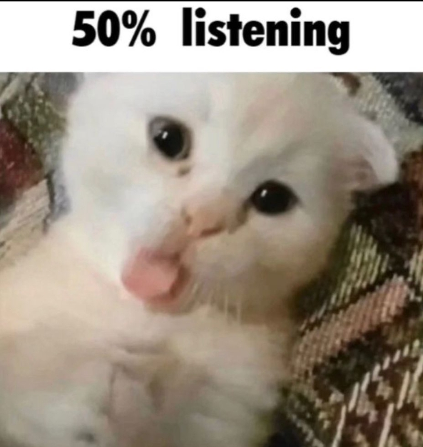 Screenshot 20230516 134805