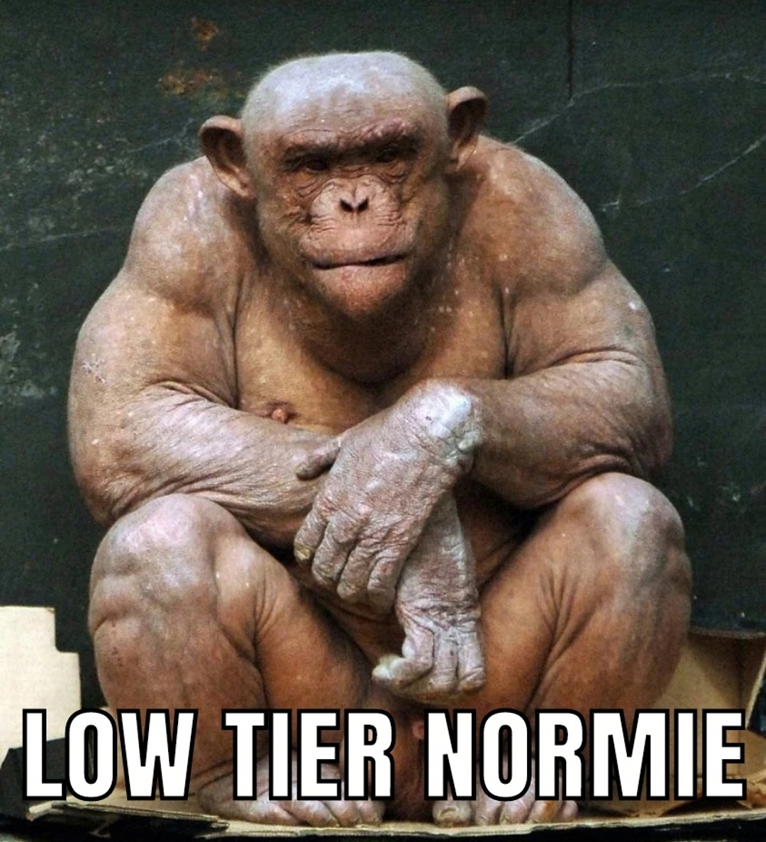 1B0DF8B5 EAB0 42C5 9480 26CF166A7AD1