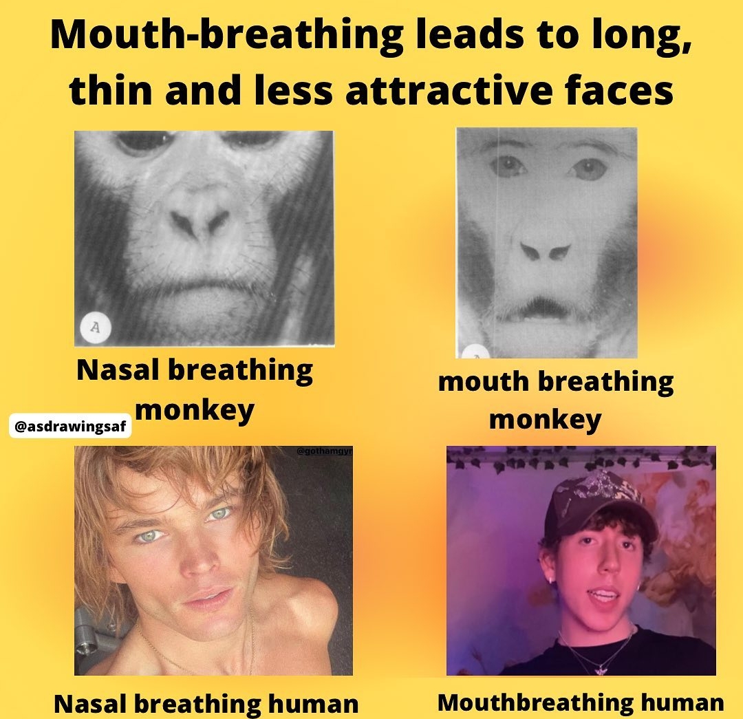 Screenshot 2023 05 19 16 45 12 65 1c337646f29875672b5a61192b9010f9