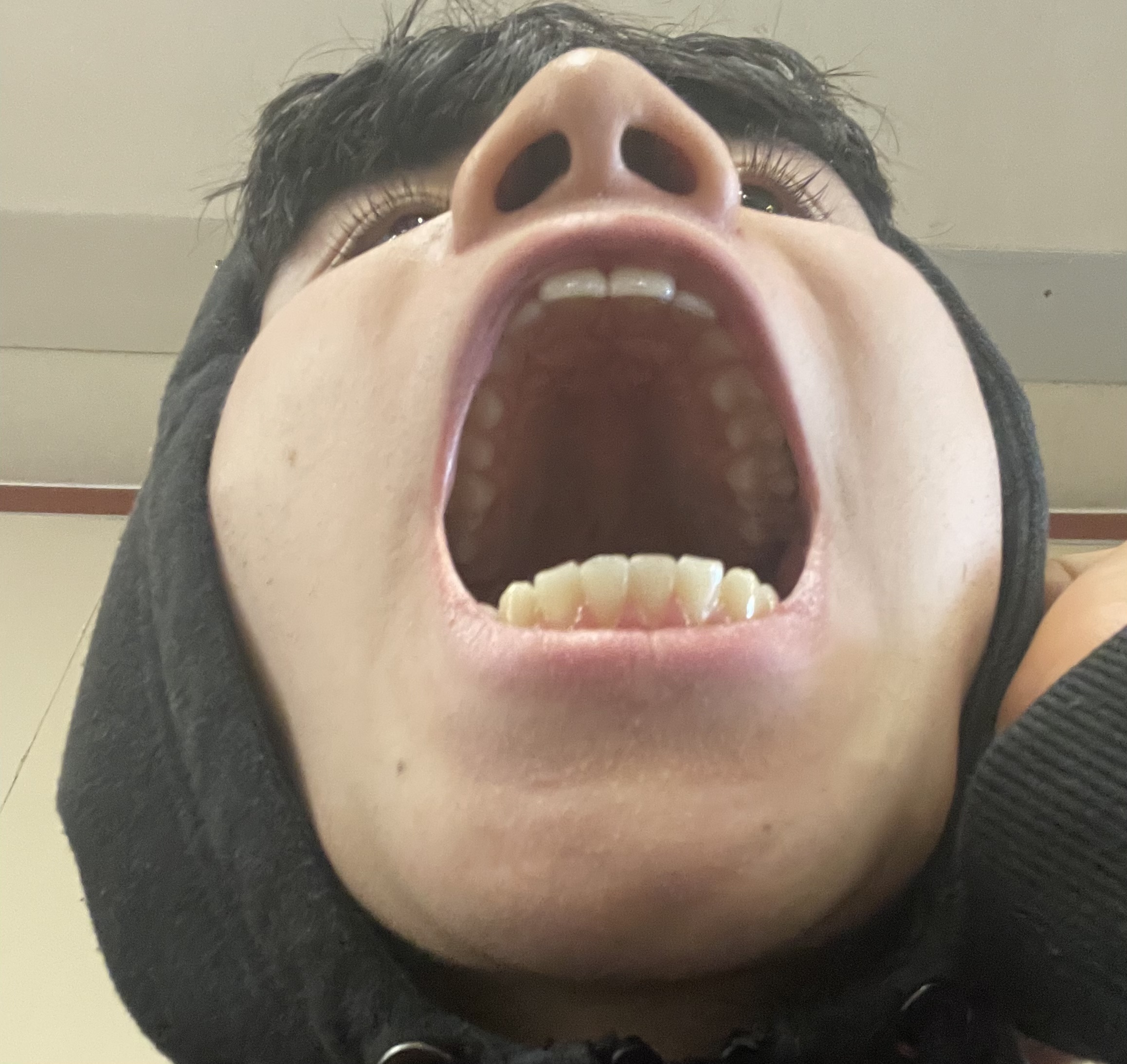 ECFD4D89 248C 49F2 B998 FC759237258F