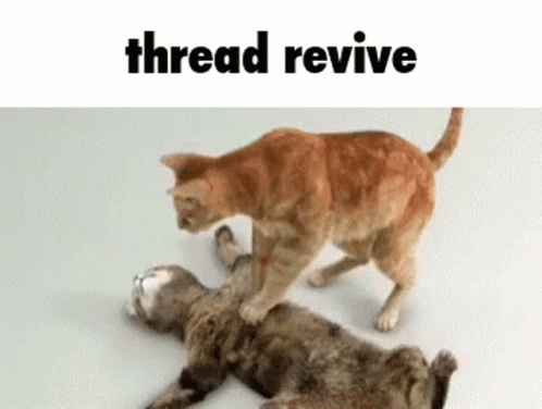 1684578884757