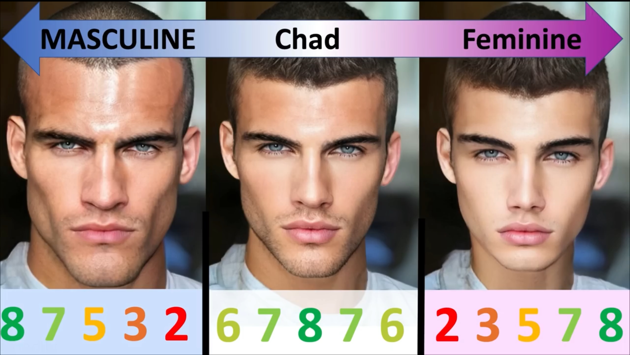 BF2C4B09 5179 463C 8C91 ECFEAED8EDA4