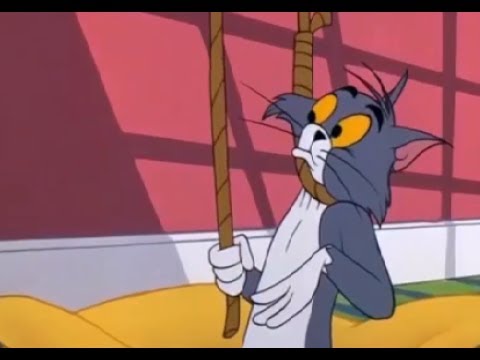 Funny Cartoon Pictures Tom And Jerry pictandpictureorg