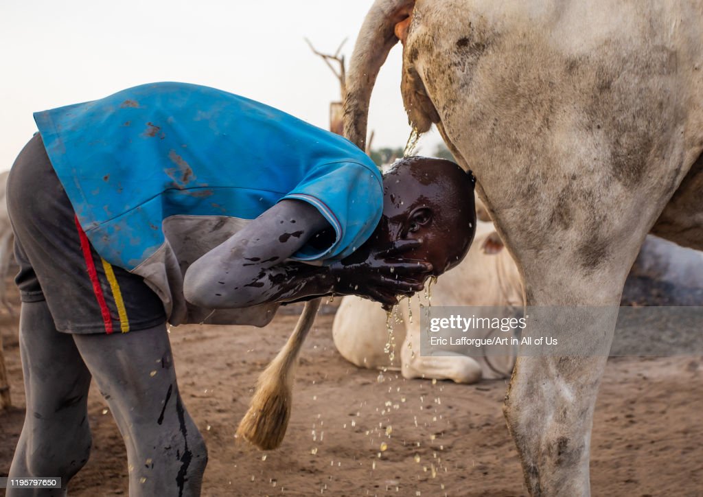 Gettyimages 1195797650 1024x1024