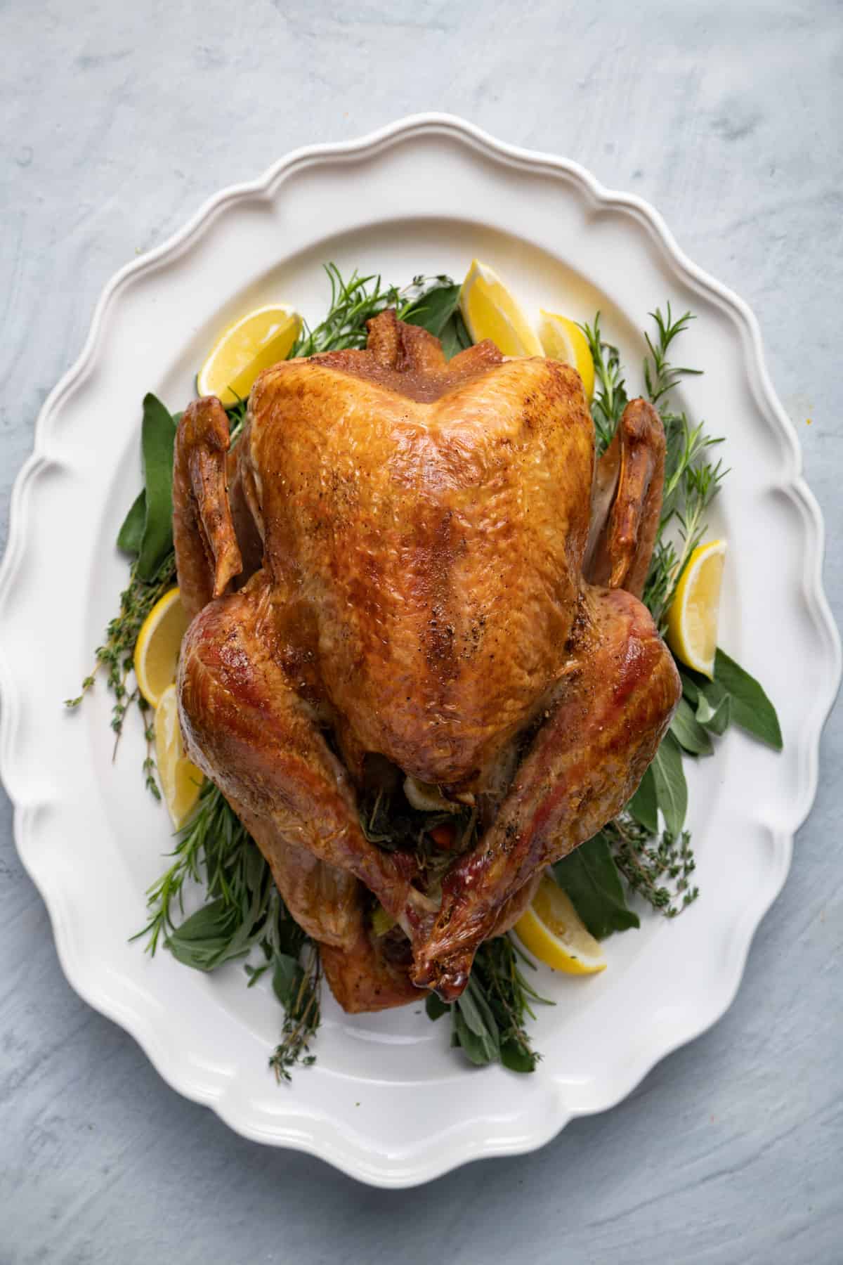 Thanksgiving turkey 08