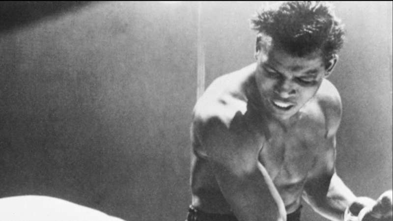 Sugar ray robinson zod7sif097lq159fhwk3htid2 Sugar ray robinson zod7sif097lq159fhwk3htid2