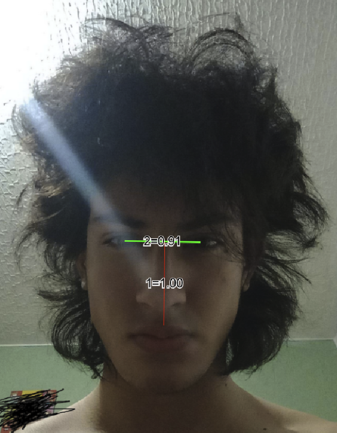 1685052667245
