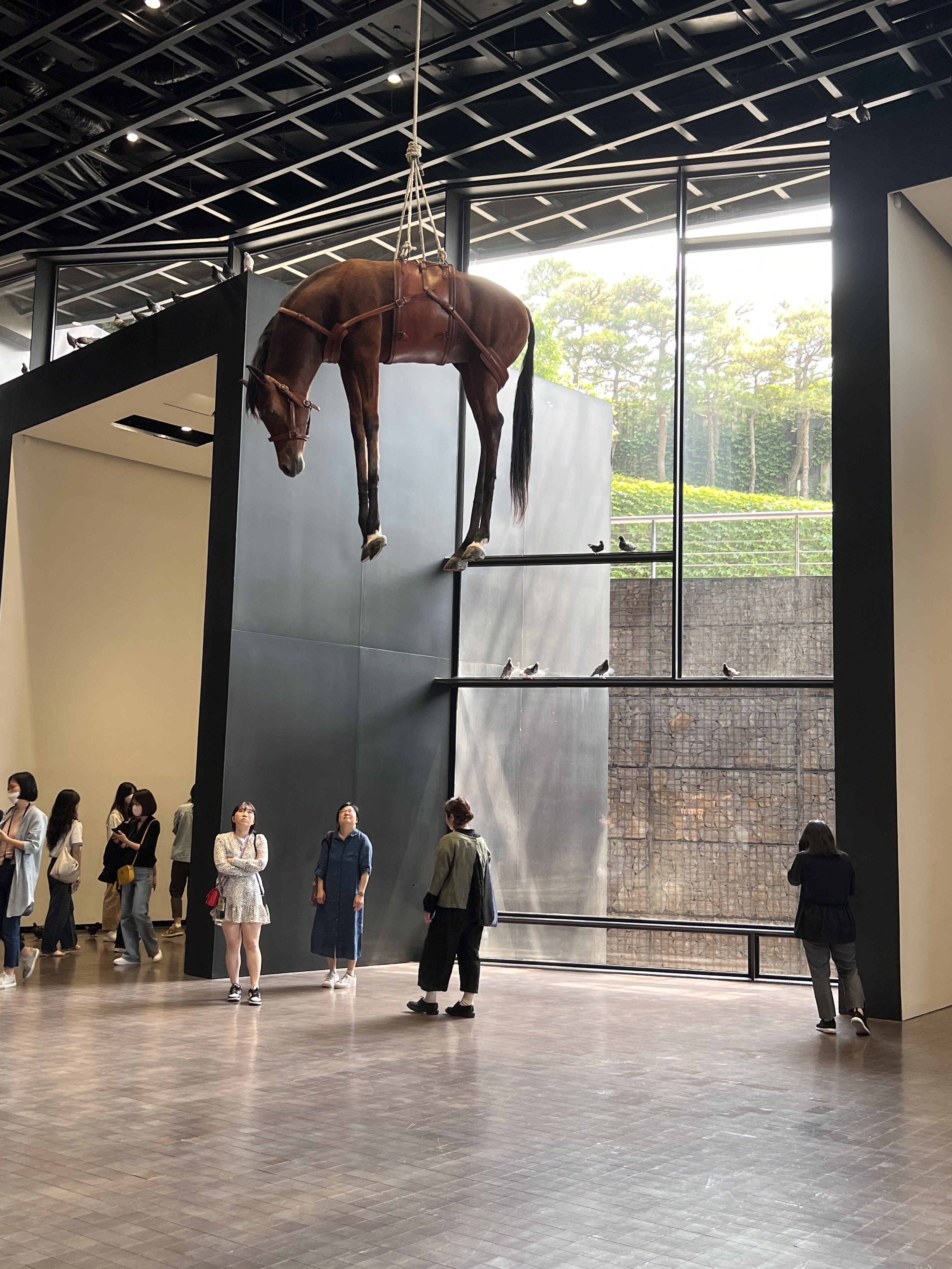 IMG 0234