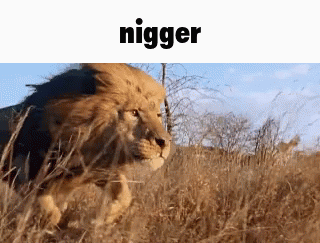 Caption 1