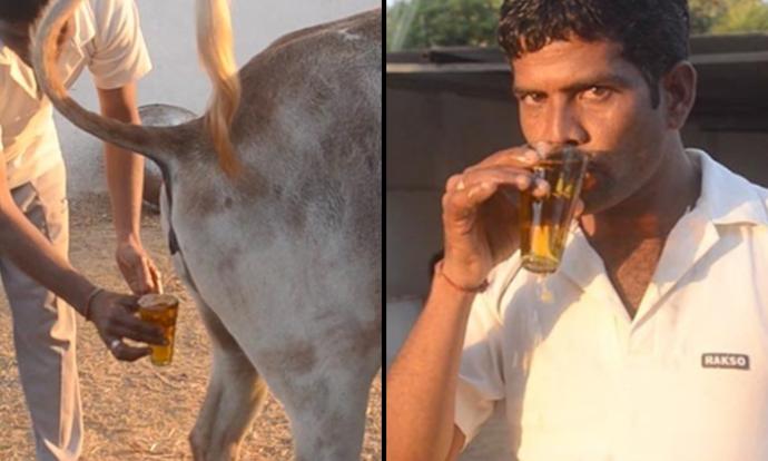 Cowurine