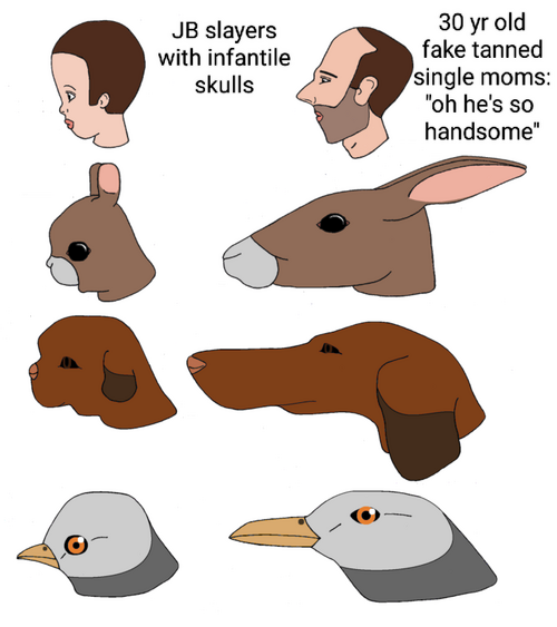 IMG_20230505_155950.png