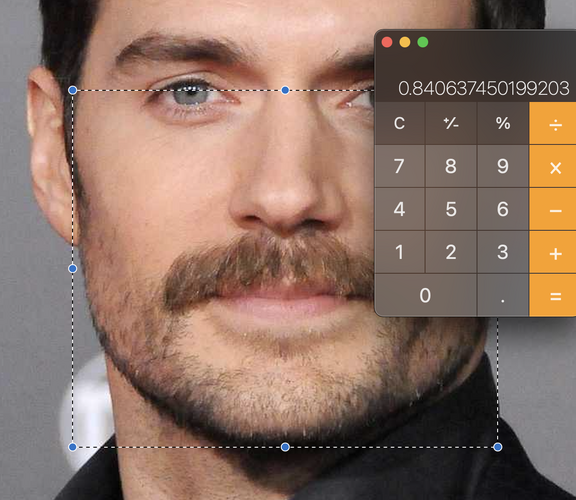 looksmaxmeasuringidiot.png