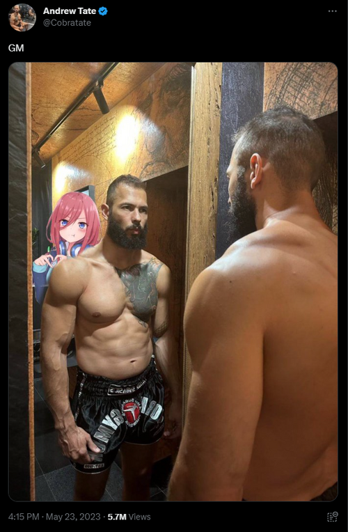 andre6.png
