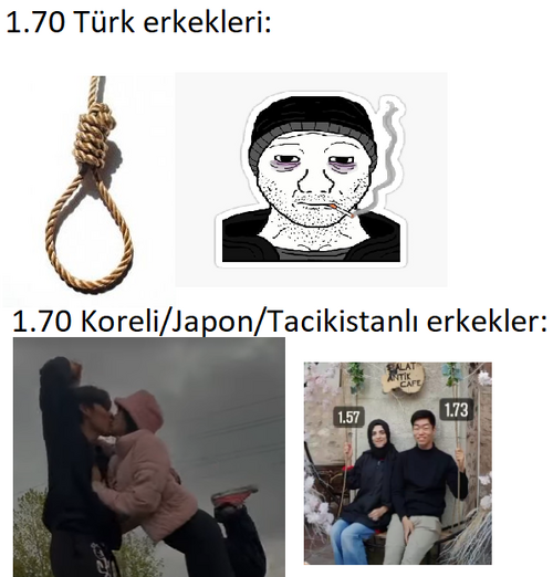 nkA2kU3.png