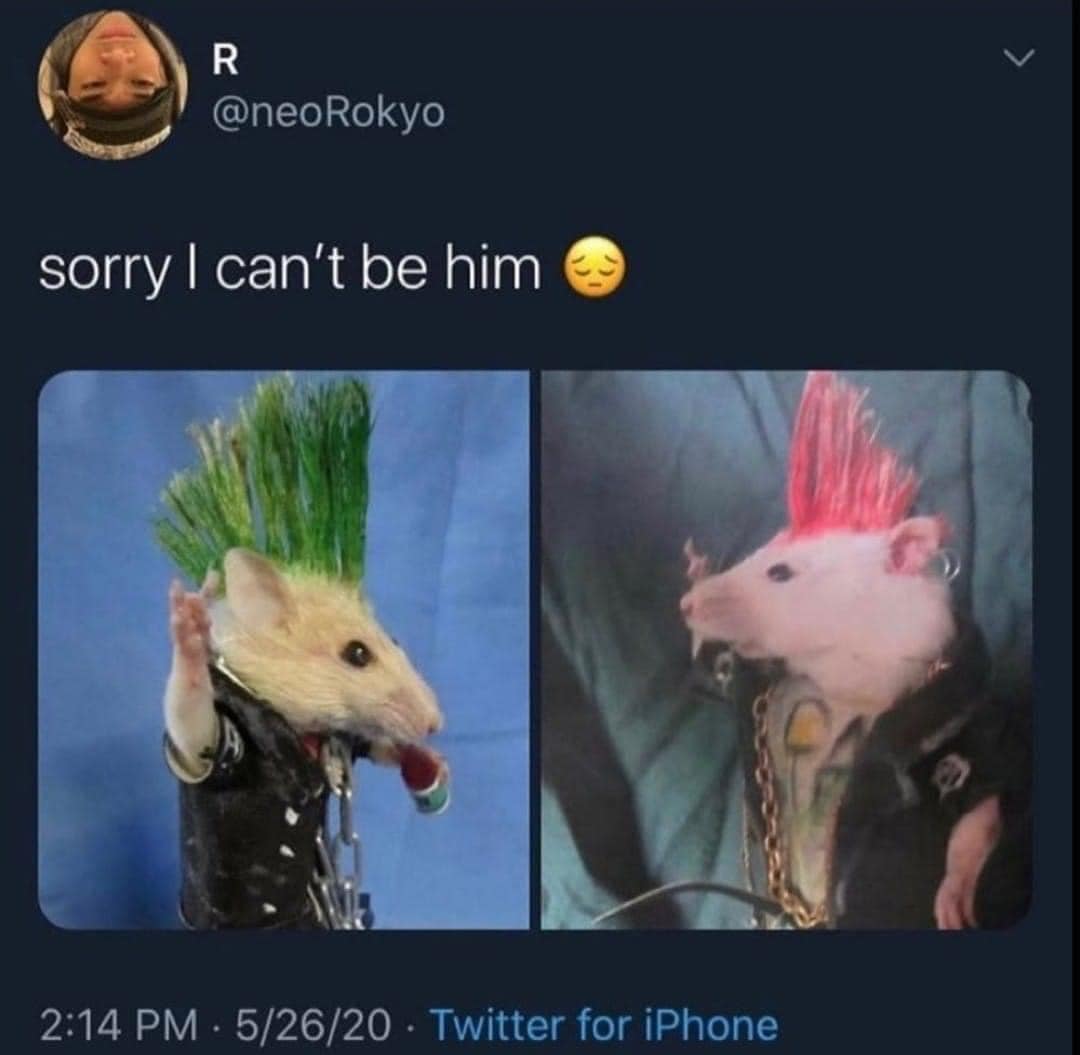 1685609222012 1685609222012