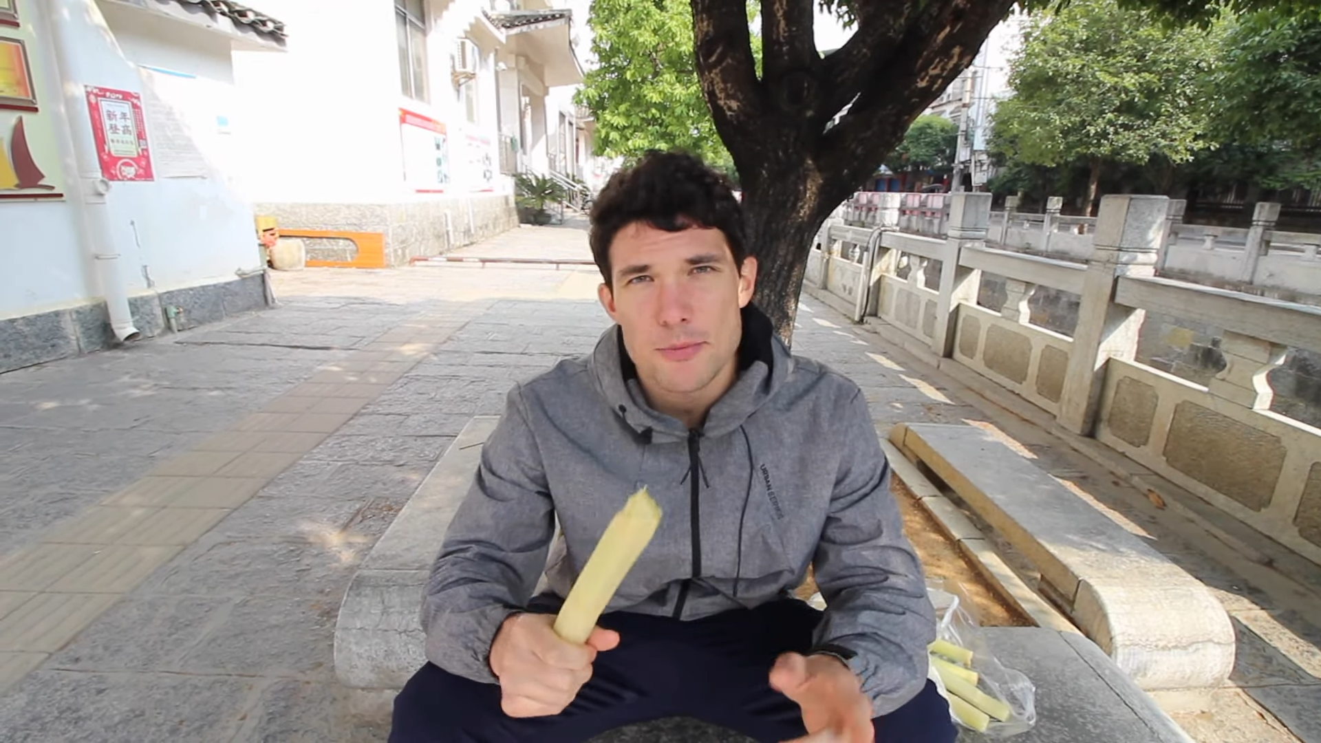 Raw Sugarcane Chinese Street Food 2 24 screenshot Raw Sugarcane Chinese Street Food 2 24 screenshot