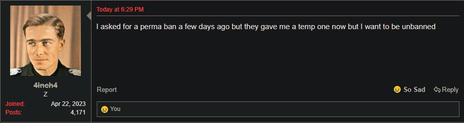 Screenshot 2023 06 02 203446