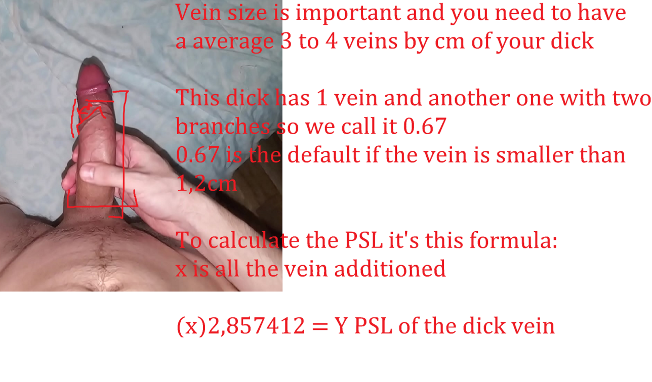 1685765245282