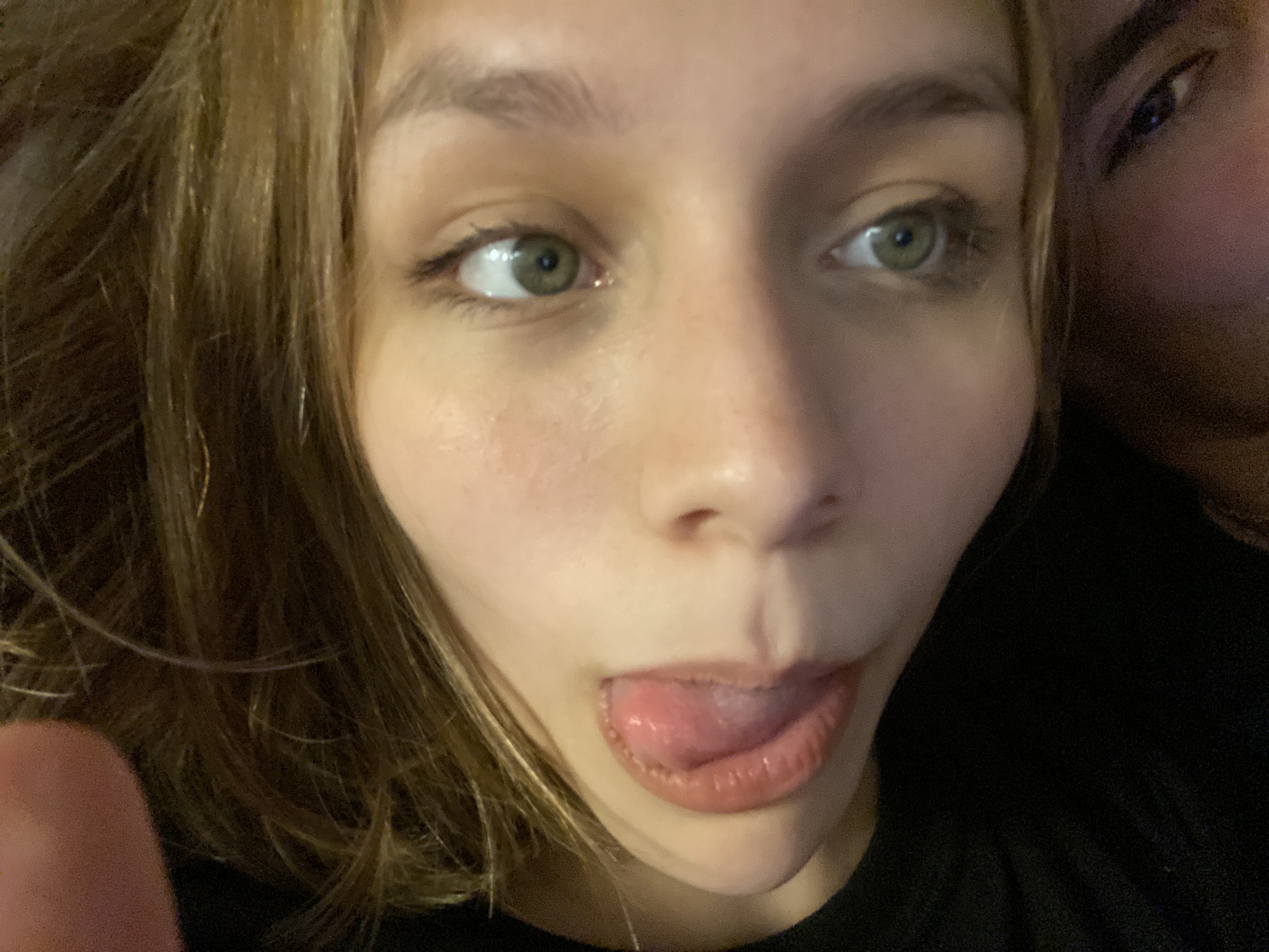IMG 2596