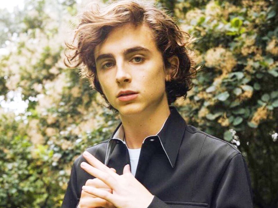 Timothee Chalamet 1