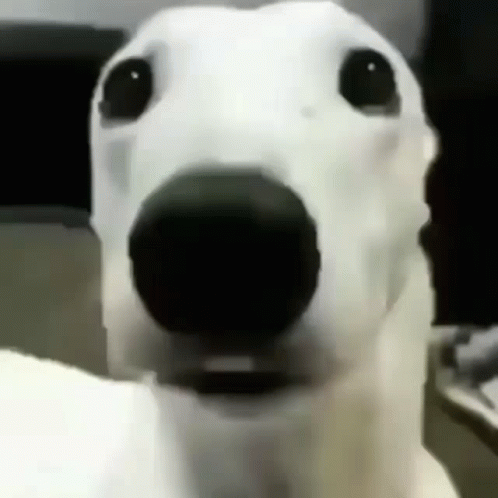 1685890617490