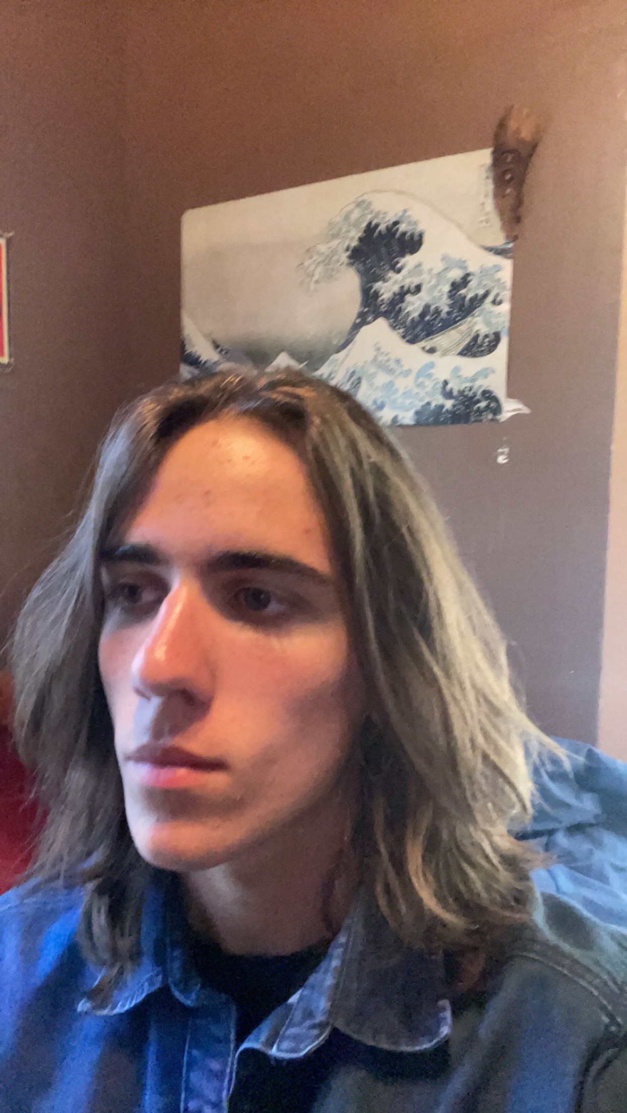 IMG 3067